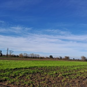 Parcela 12,40 hectáreas